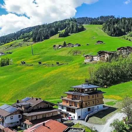 Mountain Nr 101 By Interhome * Grossarl